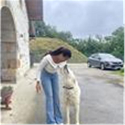 user photo