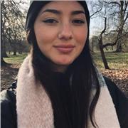 Imparto clases de apoyo de cualquier asignatura de primaria