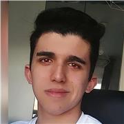 Profesor de lengua castellana (sintaxis y morfología)