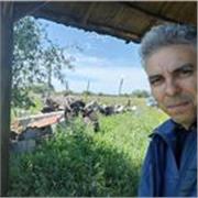 Profesor de Español, lengua nativa. Clases grupales e individuales