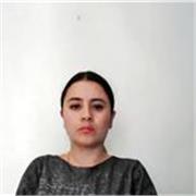 Docente apoyo a estudiantes con dificultades de aprendizaje y orientación vocacional, profesional en secundaria