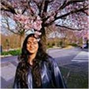 Cours d'anglais pour débutants et intermédiaires. Apprenez les bases et progressez à votre rythme !