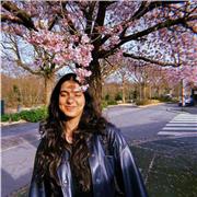 Hafsa