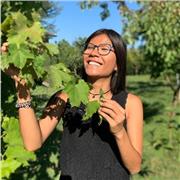 Ripetizioni /aiuto compiti