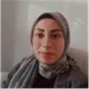 Ennur Tesadif