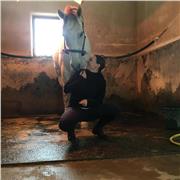 Studentessa universitaria di Scienze e tecniche psicologiche. Aiuto compiti in tutte le materie ( comprese lingua inglese e spagnola )