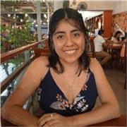 Refuerzo Escolar Online para Niños: Matemáticas, Lectura y Aprendizaje Efectivo