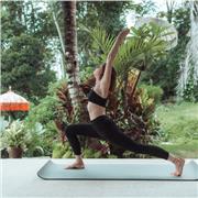 Yoga Kurse für Anfänger sowie fortgeschrittene. Verschiedene Methoden