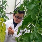 Ingeniero agrónomo con experiencia como profesor de Microbiología Agrícola para niveles de primaria, bachillerato, universitarios