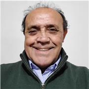 Clases de Inglés Personalizadas – Todos los Niveles | Viña del Mar y Online