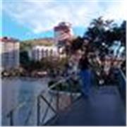 Professora Particular de diferentes disciplinas