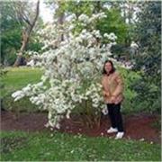 Profesora de primaria en Cuba con 30 años de experiencia 