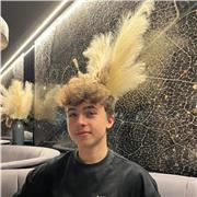 Affordable and high quality remote economics lessons from a an experienced economics student