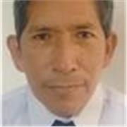 profesor de matemáticas nivel secundaria y primaria