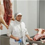 A niños y niñas en edades buenas para que lo explicado, le puedan encontrar su parte más lógica y a la misma vez incorporar su voz