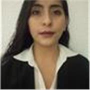 Maestra particular con experiencia desde nivel primaria, secundaria, bachillerato y Licenciatura