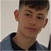 Profesor de matemáticas apto para enseñanza primaria, secundaria y bachillerato. 