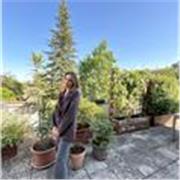 Insegnante di inglese, sia in presenza che online