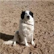 Aiuto compiti per tutte le materie nella scuola primaria e secondaria di primo grado 