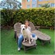 Clases de inglés de una manera divertida para nivel principiante y medio