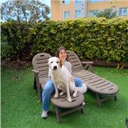 Experiencia en lenguas, ciencias y matemáticas. Presencial o online