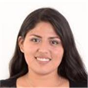 Experiencia en software Sketchup, Autocad 2D, Revit avanzando