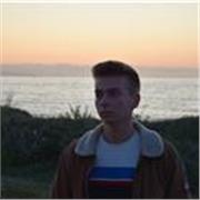 Studente di ingegneria da ripetizioni online ( superiori )