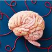 Deutsch als Fremdsprache (DaF) – Sprache, Kultur, Kommunikation