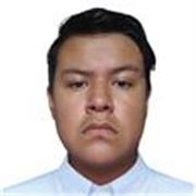 Maestro de apoyo en las asignaturas de Matemáticas, Física, Computación y derivados