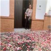 Profesora de Geografía e Historia, con experiencia de clases particulares en primaria 