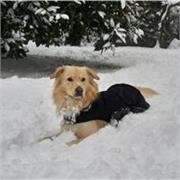 Offro lezioni private per chi avesse bisogno di recuperare le insufficienze o migliorare il proprio andamento scolastico.