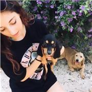 Hai difficoltà con matematica? Vuoi migliorare i voti, prepararti a una verifica o recuperare argomenti che non ti sono chiari?