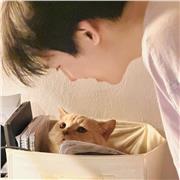 Mathe und Informatik Tutor, der gerne Schüler/Schülerinnen helfen möchte