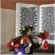 Laureata in Arti, spettacolo, eventi culturali offre disponibilità per aiuto da remoto con la lingua italiana per studenti