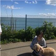 GCSE and A-Level Maths Tutor for all ages