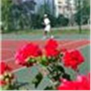 Cours de tennis particuliers avec un coach passionné