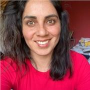 Matemática, lenguaje, historia y ciencias naturales para enseñanza básica