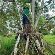 Profesora de ciencias ambientales comparte conocimientos y brinda apoyo a ñiños