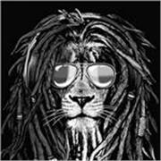 Ingénieur en calcul de structure avec 15 ans d’expérience, je mets à profit une expertise technique solide dans ce projet