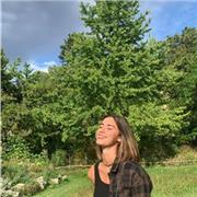 cours de français, tout niveau