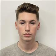 Tutoría de inglés de un hablante nativo (EE. UU. - Nivel C2)