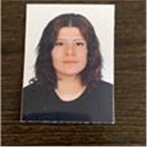 Elena Sanchez Malyutina