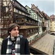 Profesor sin experiencia en docencia en campos de economía y historia, en Gijon. Terminando estudios de grado en Economia