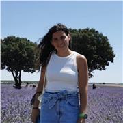 Clases particulares de dibujo, dibujo técnico, historia del arte o extraescolares