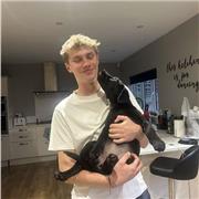 Maths Tutor teaching GCSE and Alevel students