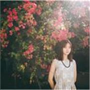 Film producer. Storyteller. Native English speaker and tutor. IELTS exam preparation expert — No fear, only fun!