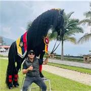 Profesional en clases de lenguaje gramática y escritura de español