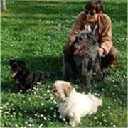 Lezioni propedeutiche di Educazione cinofila e consulenze di Fiori di Bach per animali