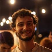 Tutor esperto con una laurea in Ingegneria offre ripetizioni