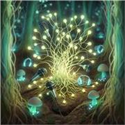 Español para extranjeros apto para todos los niveles